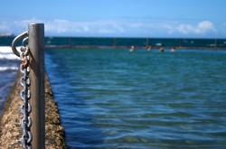 开云sport-当羽毛球拍挥舞在绿茵场上，一场关于跨界扛鼎的哲思