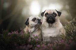 开云体育入口-史诗被篡改之夜，当抢七经典剧本被挪威人撕碎