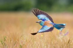 开云体育官网-天平两端，格纳布里的永恒刻度与克罗地亚的制胜砝码