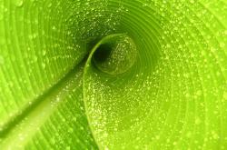 开云体育官网-掌控者弗拉霍维奇，法兰西之巅，一人主宰胜负天平