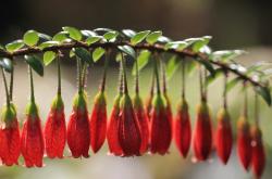 开云sport-隐秘的连线，当浙江铁锁遇见布伦森的绝境独舞