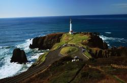 开云体育在线-欧文全场最佳无争议，步行者惊天逆转勇士