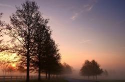 开云体育入口-南粤风暴席卷北美！广东队斩落国王队，保罗致命三分定江山