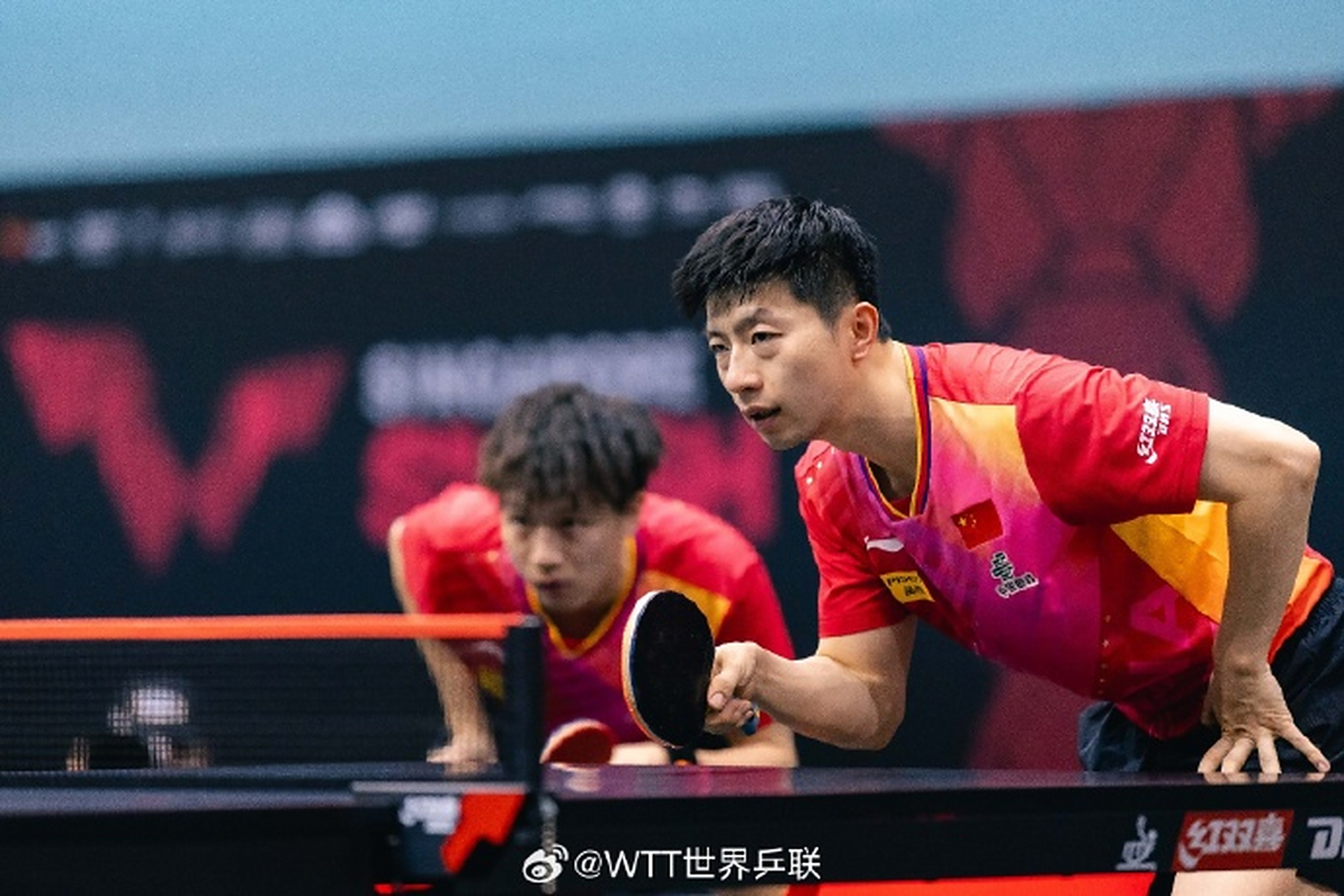 比利时乒乓球队横扫德国乒乓球队，马龙统治全场