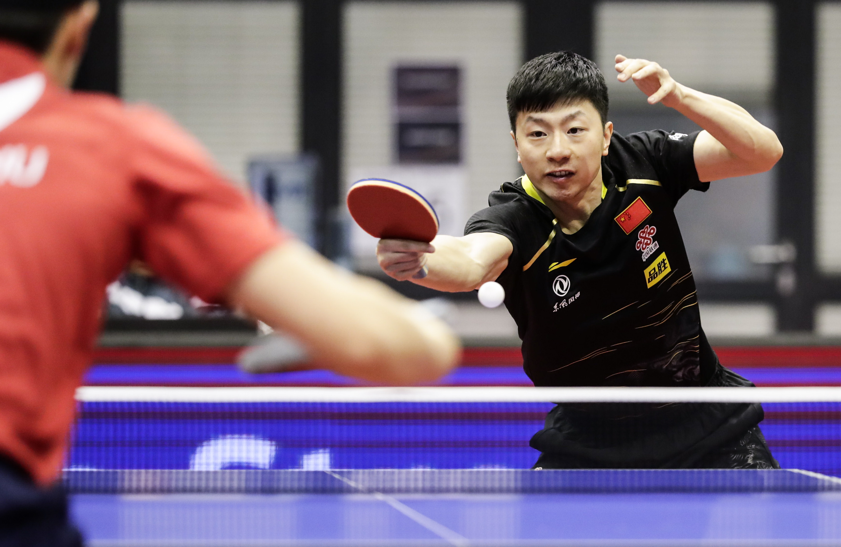 包含德国队险胜法国队，马琳状态火热的词条