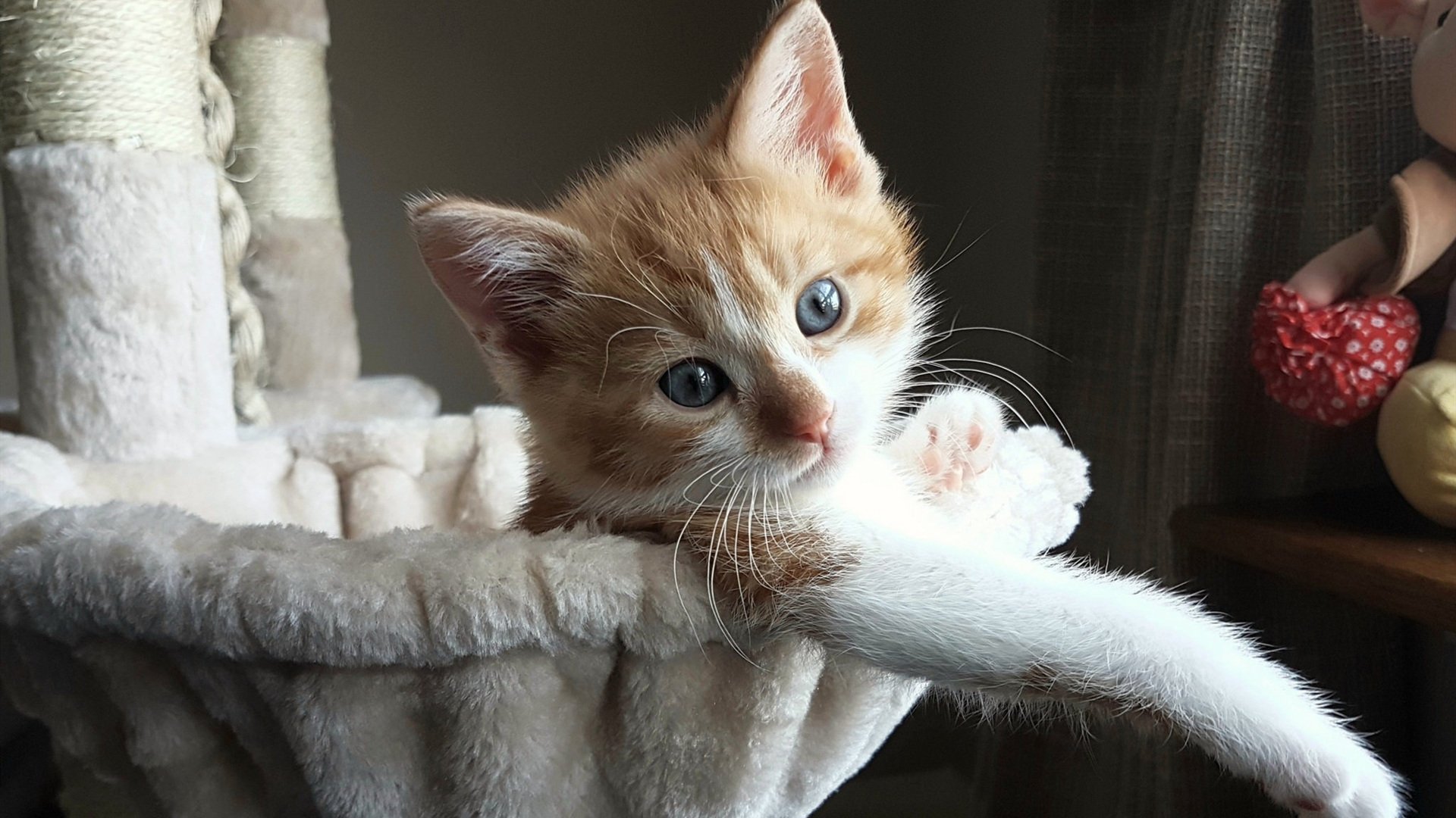 窒息时刻的团队奏鸣曲,武切维奇导演魔术绝杀步行者