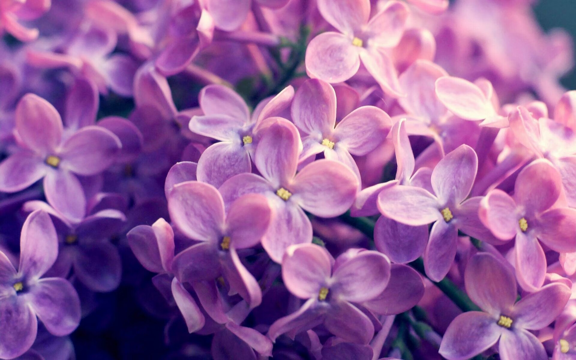 决胜之夜,隔海双响炮,巴特勒绝杀震辽宁,库里神射定乾坤