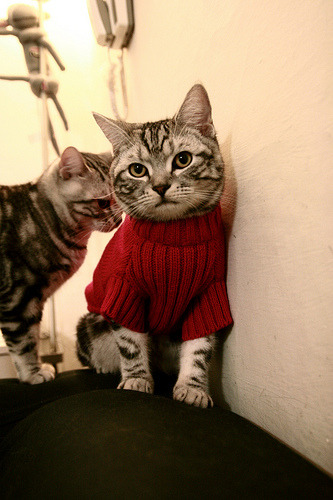 围场双面战,威廉姆斯鏖战阿斯顿马丁,勒克莱尔独舞中游风暴