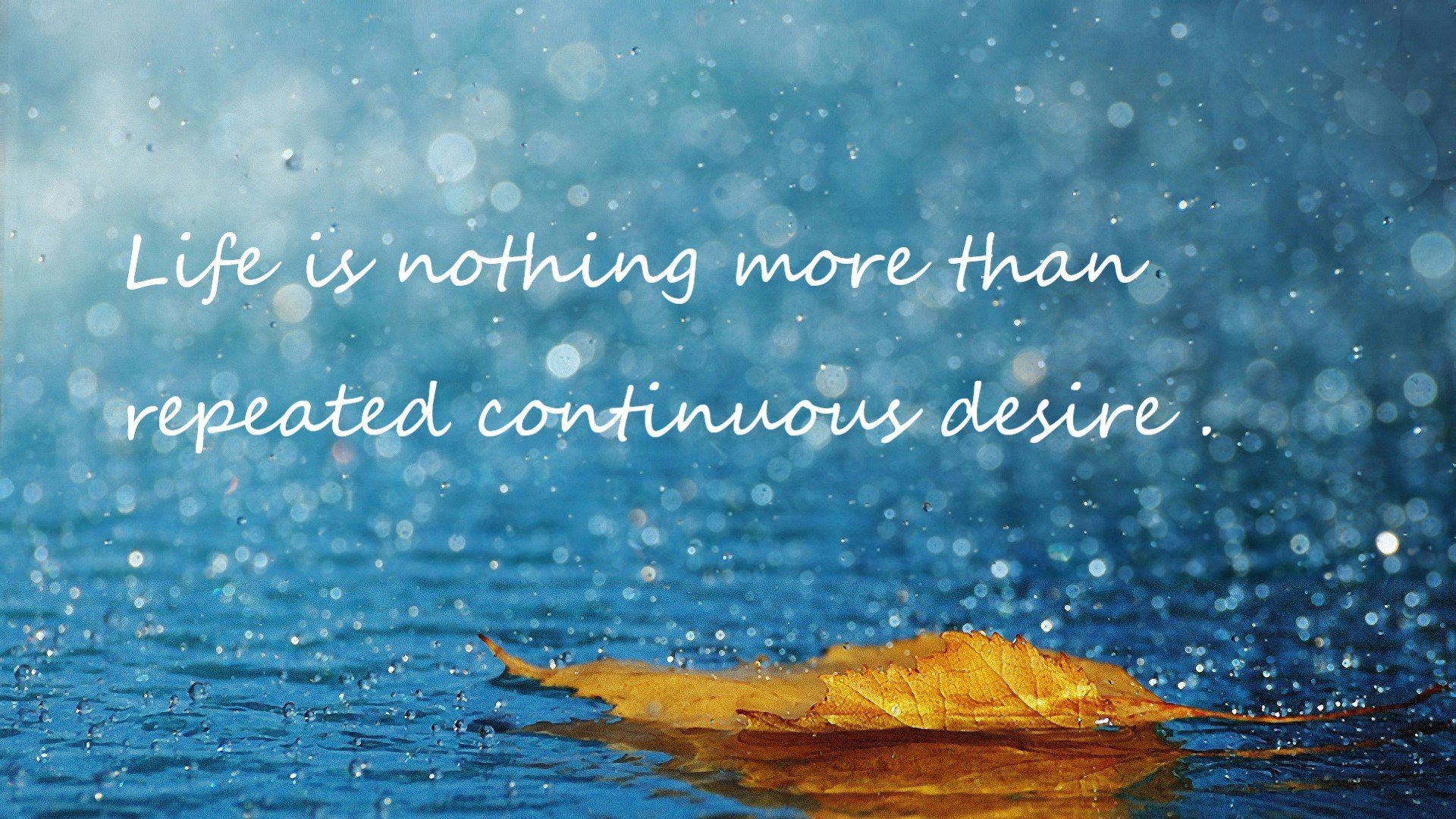 当紫金军团碾压辽宁，范弗利特已在F1赛道上演终局接管—掌控力，是跨维度通用的终极语言