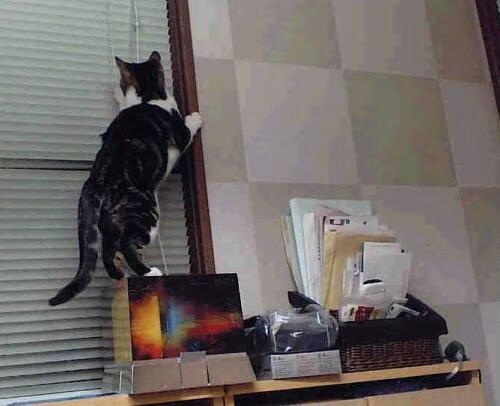 龙门与维修墙,拉亚在巴林之夜扛起全队