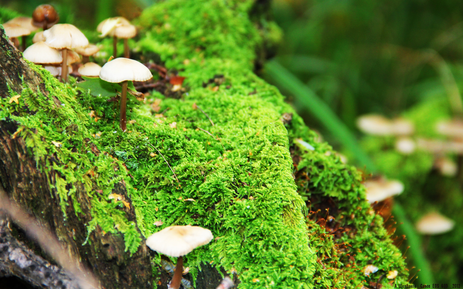 关键时刻霍勒迪挺身而出，快船早早终结火箭悬念