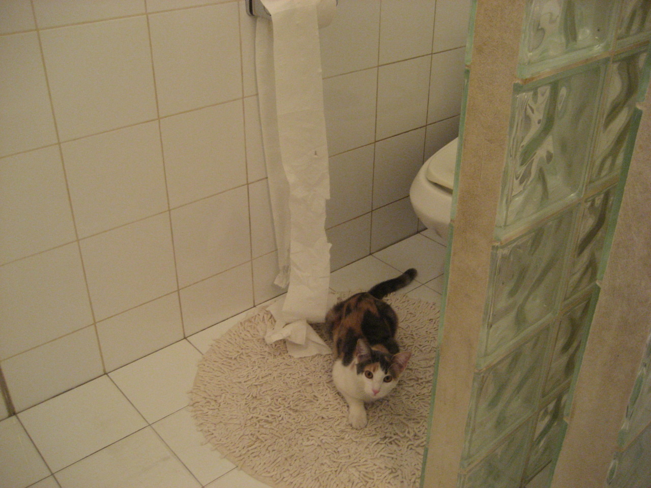 黑色旋风席卷维洛德罗姆，楚阿梅尼爆发，塞内加尔决胜局带走马赛