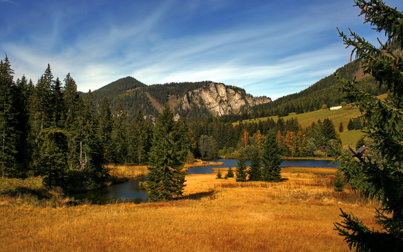 一记关键三分背后的救赎，保罗如何从谷底站起，扛着公牛队赢下这场硬仗？