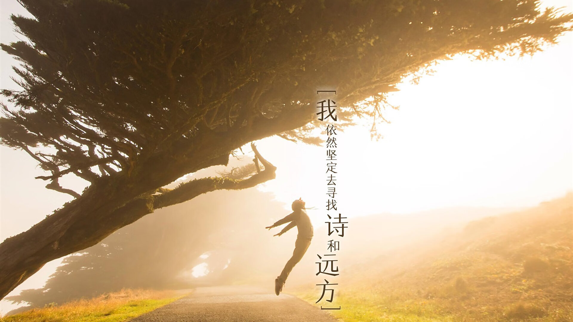 被托尼操控的安菲尔德之夜，利物浦如何提前一小时终结悬念？