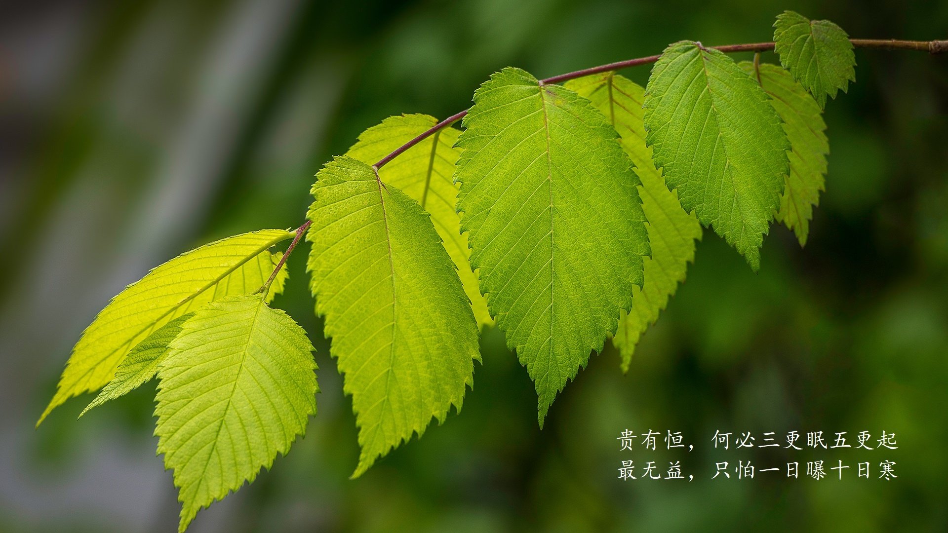 扩展思维，文章标题选项