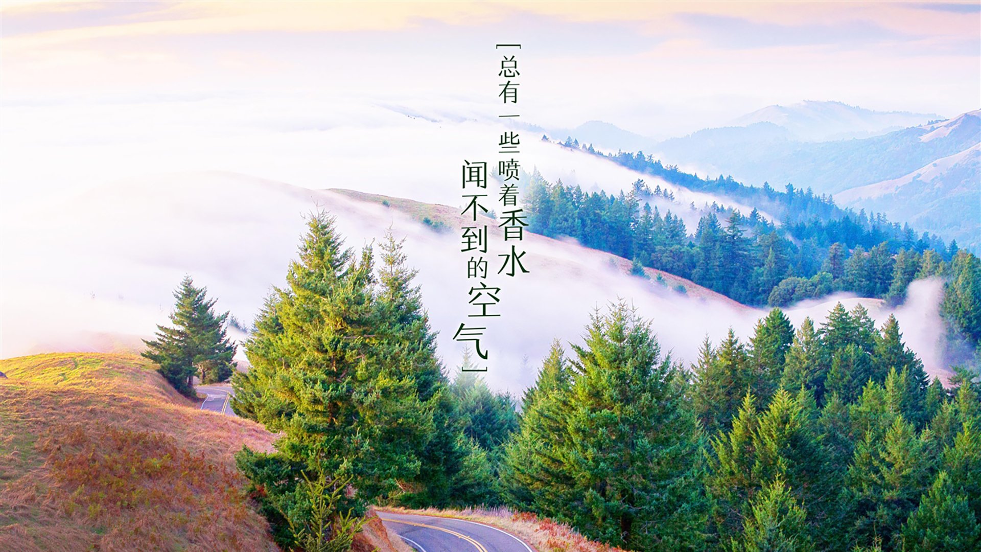 2026世界杯巅峰对决，西班牙传控艺术完胜捷克，萨内独舞引领德国复仇之战