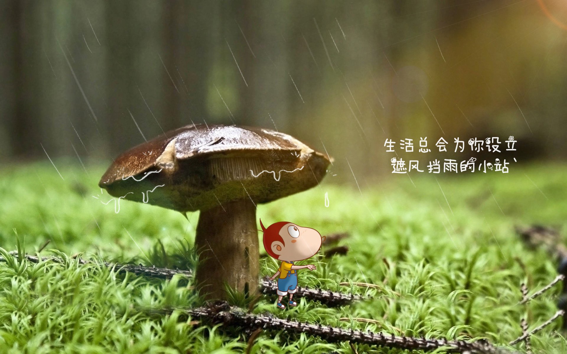 奥斯陆的雪夜，波斯铁骑的刀锋，2026世界杯复仇之战，挪威力克捷克，塔雷米的光芒刺破北欧极夜
